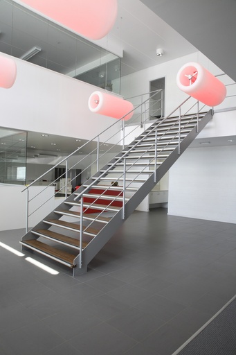 [2024] Escalier Métallique Design avec Ovangkol
